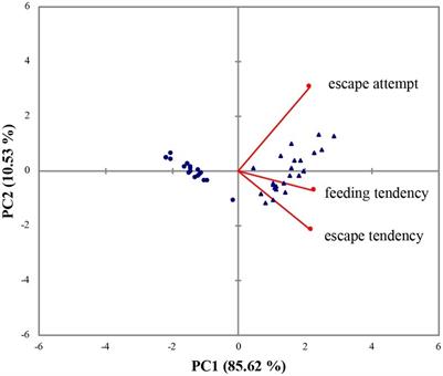 Differential Coping Strategies in Response to Salinity Challenge in Olive Flounder